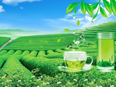 RFID系統在茶葉制品各個環節的應用